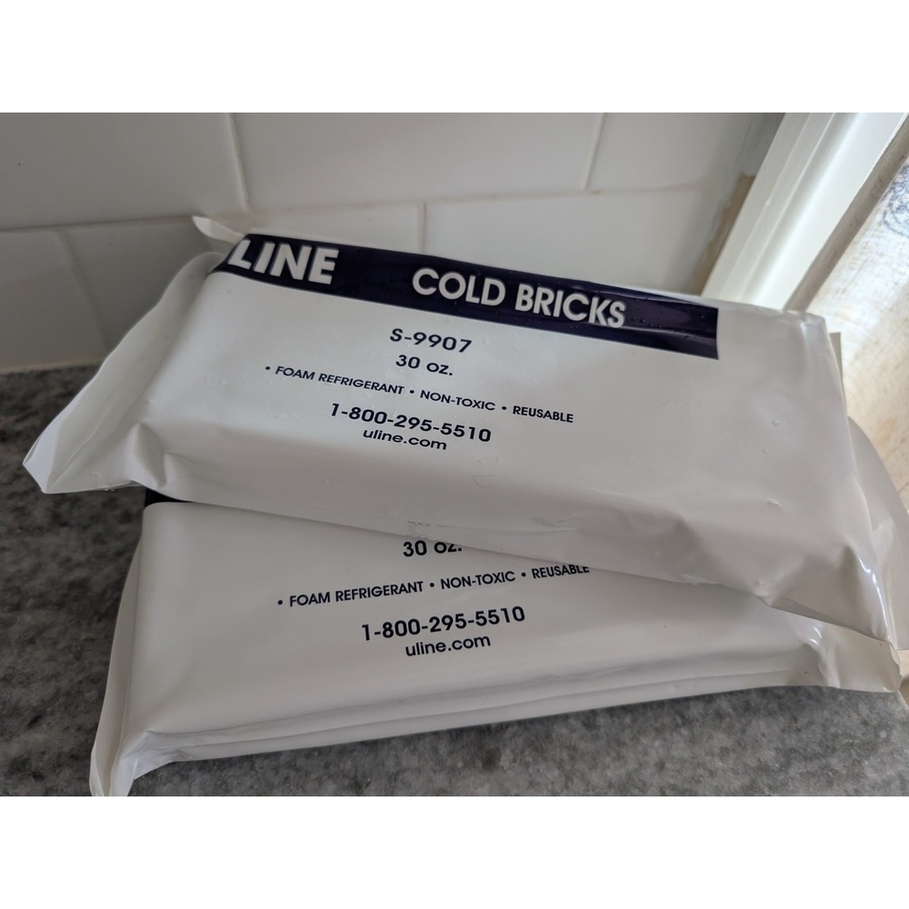 Cold Bricks - 30 oz, 9 x 4 x 1 1⁄2" Foam Brick Freezer Cold Ice‎ Packs Lot of 2